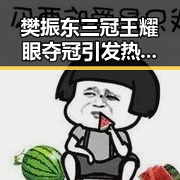 樊振东三冠王耀眼夺冠引发热议，天涯前员工揭示平台重启消耗用户情怀的隐忧